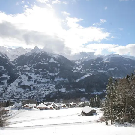 Luxurious In Sankt Gallenkirch Near Ski Lift דירה גורטיפוהל